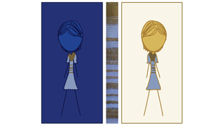 At Least We Got a New Optical Illusion Out of That Goddamn Dress